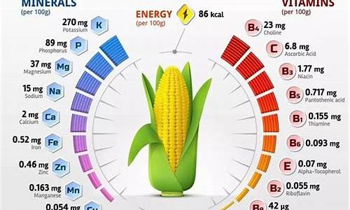 玉米的营养价值有哪些啊_玉米的营养价值