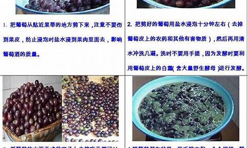 葡萄酒制作方法及步骤高中生物实验_高二生物葡萄酒制作