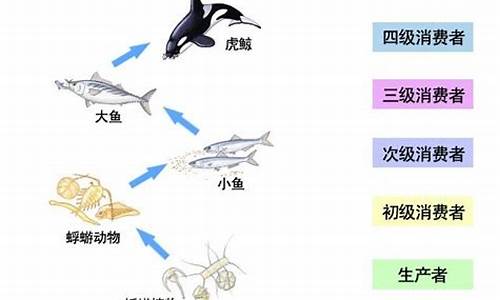 海洋食物链有哪些种类_海洋食物链有哪些